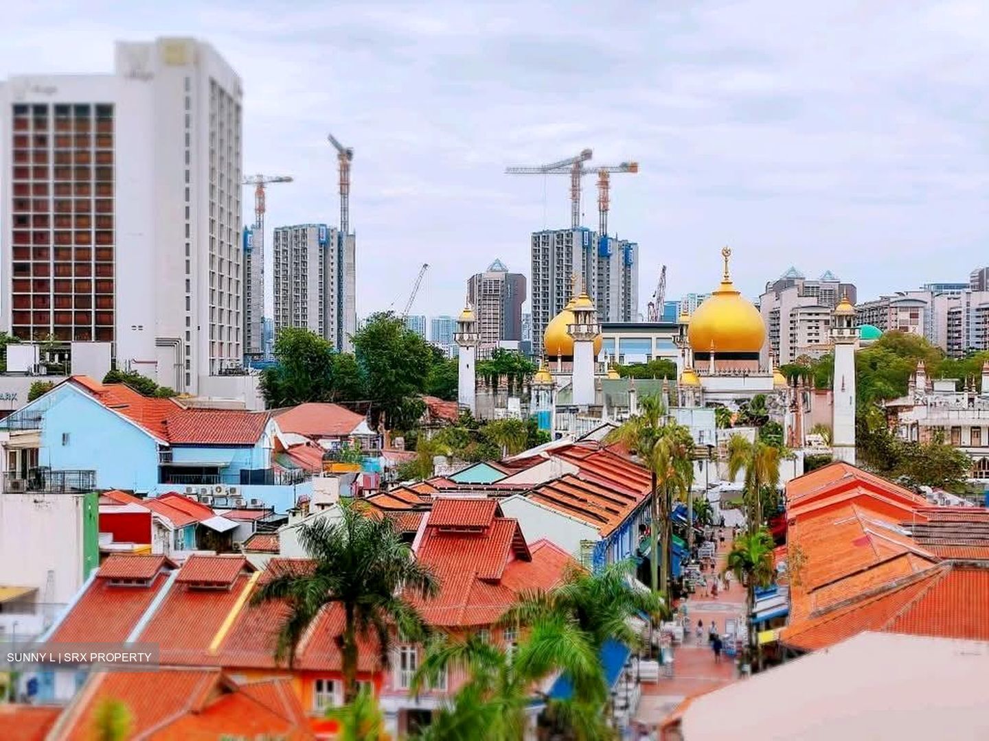 Arab Street (D7), Retail #589658871